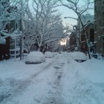 A side street in Cobble Hill, Brooklyn.