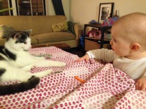 Goggle taking in her youngest human sibling.