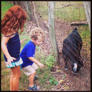 Mylo and Kailee feed the goats
