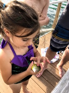 Candlewood Isle Camp