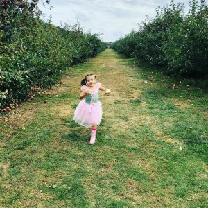 Reya Blue Jay Apple Orchards