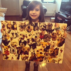 100 RESCUE DOGS!